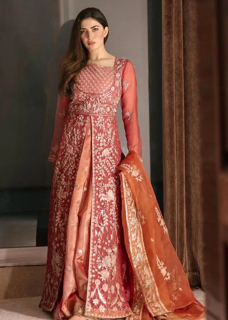 Daud Abbas | Formals Collection | Nilofer - Rang-e-Khaas