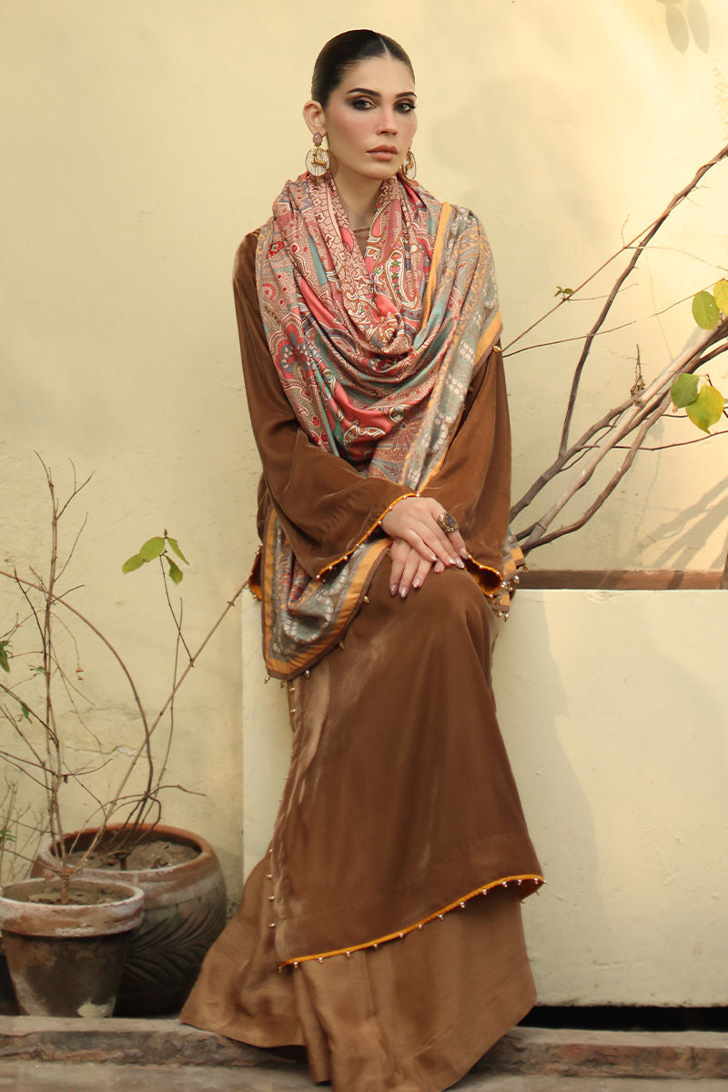 Aisha Imran | Printed Panache Velvet Shawls 25 | Myra Shirt and Pants