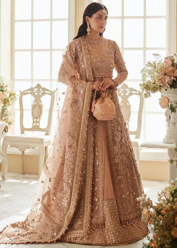Elan | Wedding Festive 23 | Elan - Ariana - Rang-e-Khaas