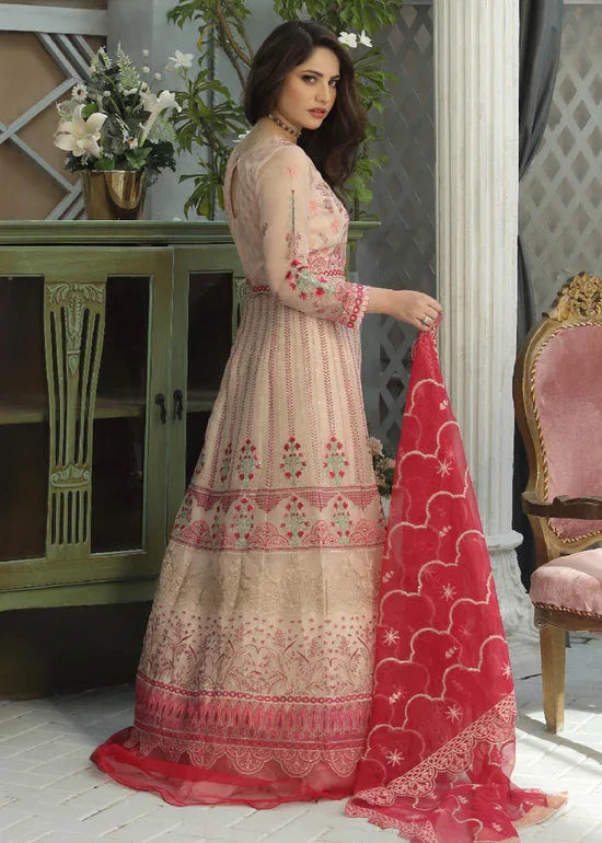 Daud Abbas | Formals Collection | ISLEEN - Rang-e-Khaas