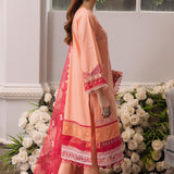 Daud Abbas | Formals Collection | Mehrma