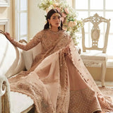 Elan | Wedding Festive 23 | Elan - Ariana