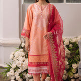 Daud Abbas | Formals Collection | Mehrma