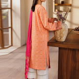 Rajbari | Amari Hybrid Jacquard Edition | Amari Jacquard - 04