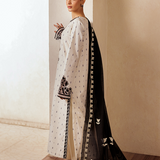 Rajbari | Amari Hybrid Jacquard Edition | Amari Jacquard - 05