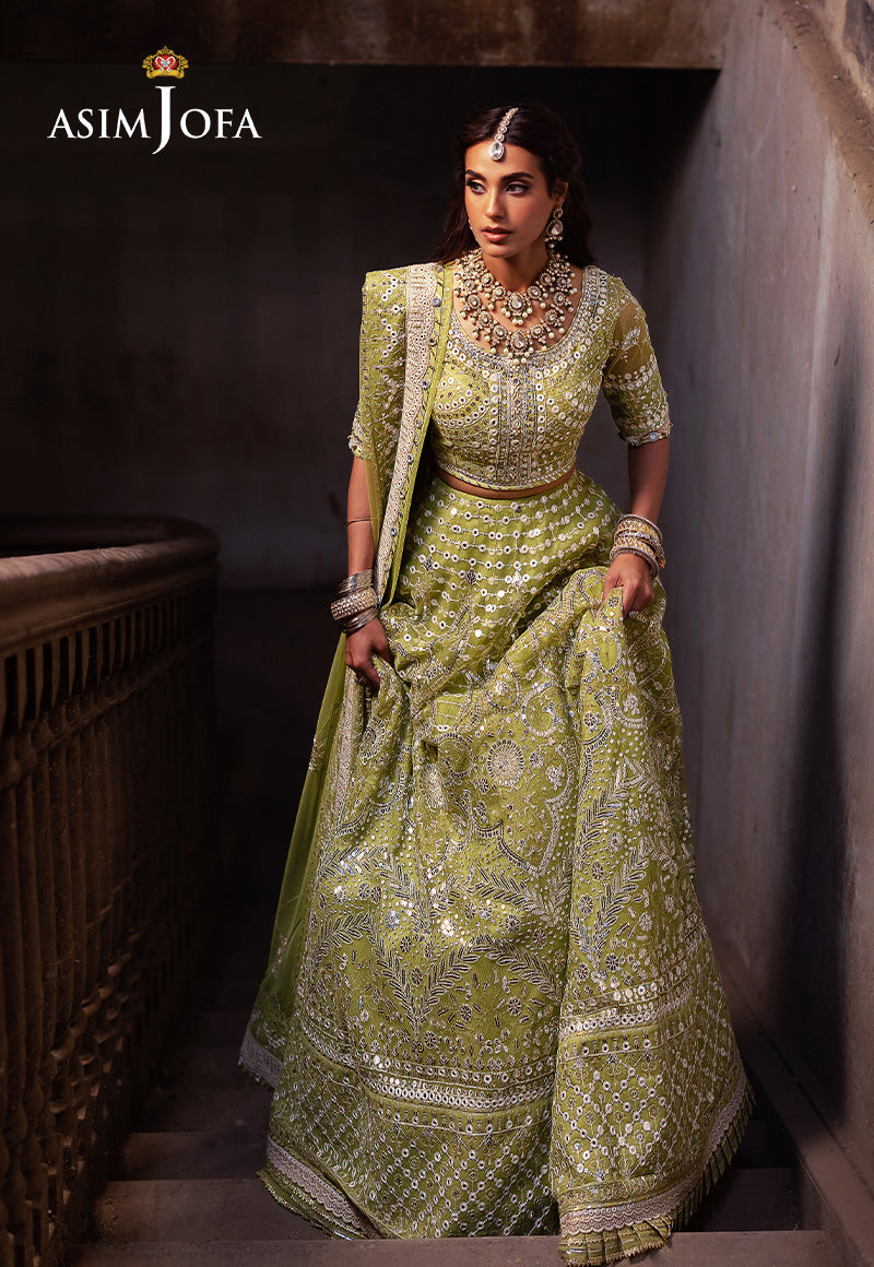 ASIM JOFA | Asim Jofa Bekhudi Collection '24 ( AJKB-04)
