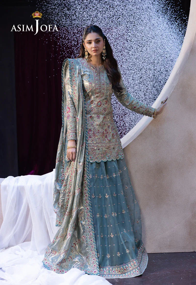 Asim Jofa | Festive Opulence | AJFO-14 - Rang-e-Khaas