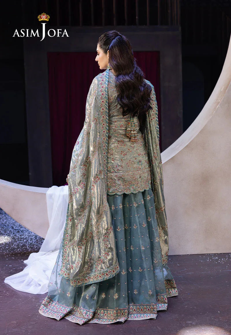 Asim Jofa | Festive Opulence | AJFO-14 - Rang-e-Khaas