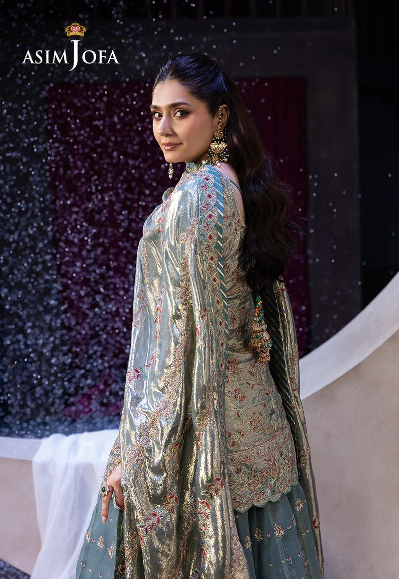 Asim Jofa | Festive Opulence | AJFO-14 - Rang-e-Khaas