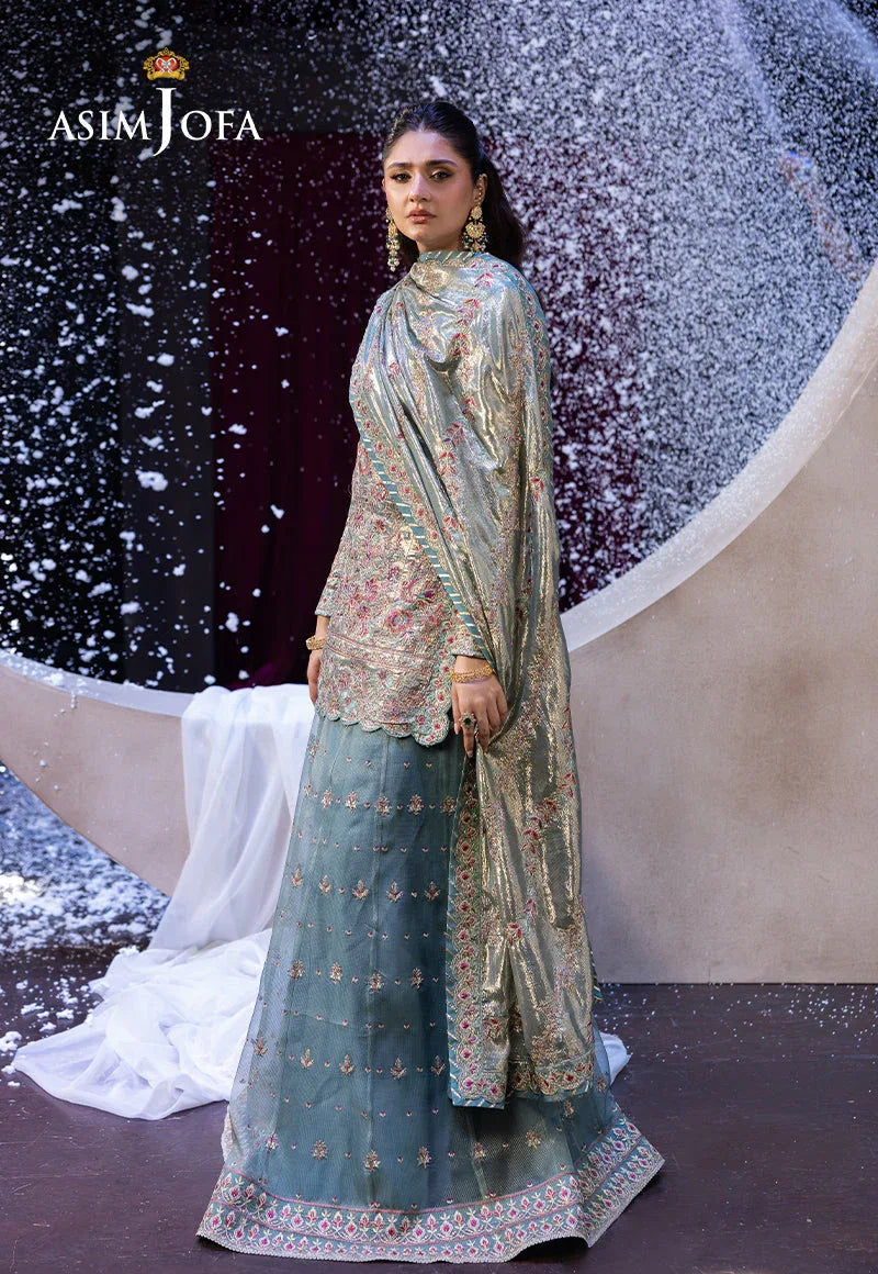 Asim Jofa | Festive Opulence | AJFO-14 - Rang-e-Khaas
