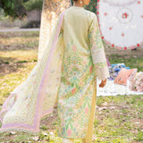 Rajbari | Schiffli Printkari Exclusive | Schiffli Printkari - 11