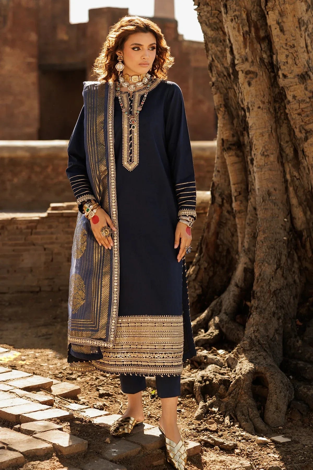 Charizma | Festive Pret | CNP-5-25 - Rang-e-Khaas
