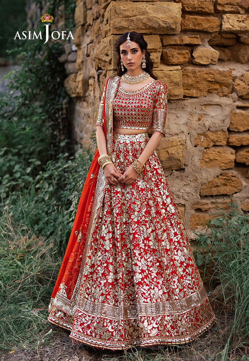 ASIM JOFA | Asim Jofa Bekhudi Collection '24 ( AJKB-11)
