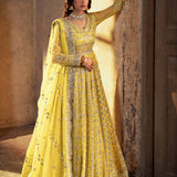 ASIM JOFA | Asim Jofa Bekhudi Collection '24 ( AJKB-12)