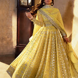 ASIM JOFA | Asim Jofa Bekhudi Collection '24 ( AJKB-12)