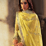 ASIM JOFA | Asim Jofa Bekhudi Collection '24 ( AJKB-12)