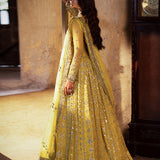 ASIM JOFA | Asim Jofa Bekhudi Collection '24 ( AJKB-12)