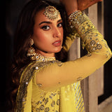 ASIM JOFA | Asim Jofa Bekhudi Collection '24 ( AJKB-12)