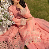 Rangrasiya | Premium Collection 24 | PARISA
