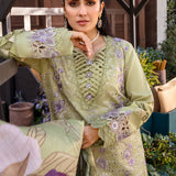 Rangrasiya | Premium Collection 24 | AYSEL