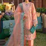 Rangrasiya | Premium Collection 24 | RANIA