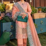 Rangrasiya | Premium Collection 24 | RANIA