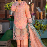 Rangrasiya | Premium Collection 24 | RANIA