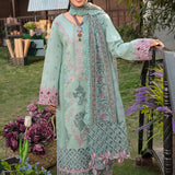 Rangrasiya | Premium Collection 24 | AMYRA