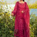 Rangrasiya | Premium Collection 24 | MAYA