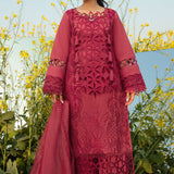 Rangrasiya | Premium Collection 24 | MAYA