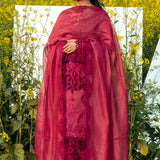 Rangrasiya | Premium Collection 24 | MAYA