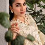Rangrasiya | Premium Collection 24 | HAYA