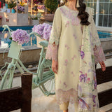 Rangrasiya | Florence Summer Edit 25 | Manah