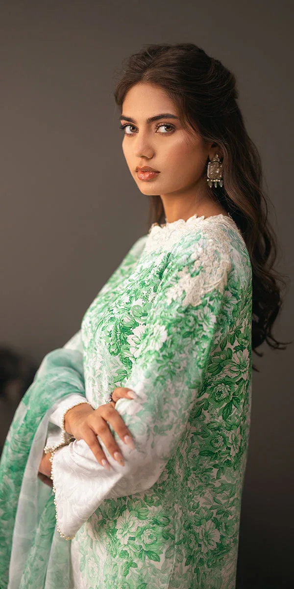 Erum Khan | Beyond Basic | VIVID ELEGANCE - Rang-e-Khaas