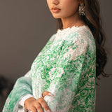 Erum Khan | Beyond Basic | VIVID ELEGANCE