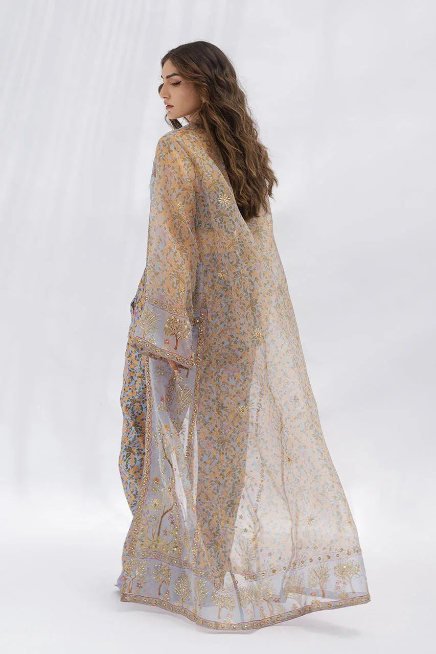 Sania Maskatiya | Fall Festive Glimmer | Reno - Rang-e-Khaas