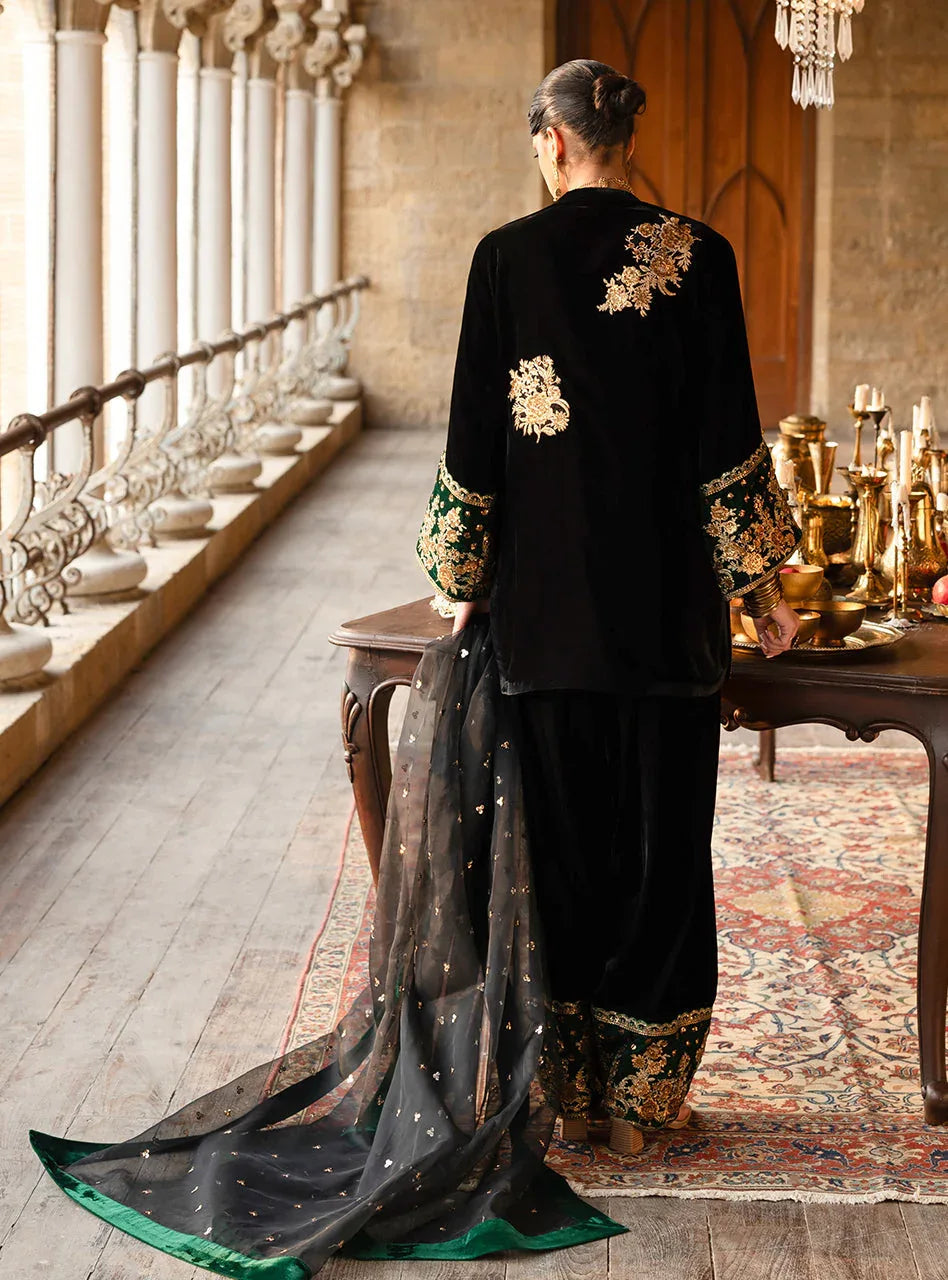 Zainab Chottani | Velura Velvet Edit 25 | Emel Farshi - Rang-e-Khaas