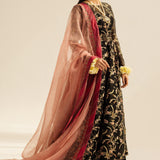 Zara Shahjahan | Wedding Formals 2024 | ZC-4003