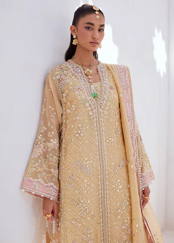 Suffuse | Freeshia Formal | SUHA - Rang-e-Khaas
