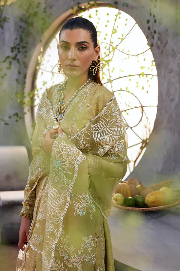 Suffuse | Casual Pret Eid 24 | Zayb - Rang-e-Khaas