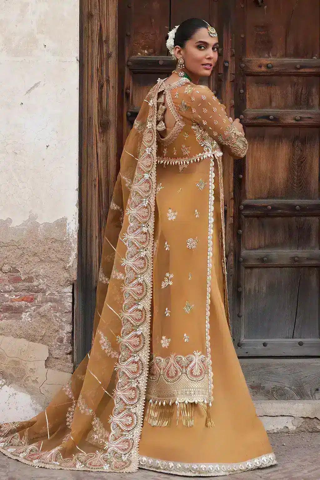Afrozeh | Dastangoi Wedding Formals | Shafaq - Rang-e-Khaas