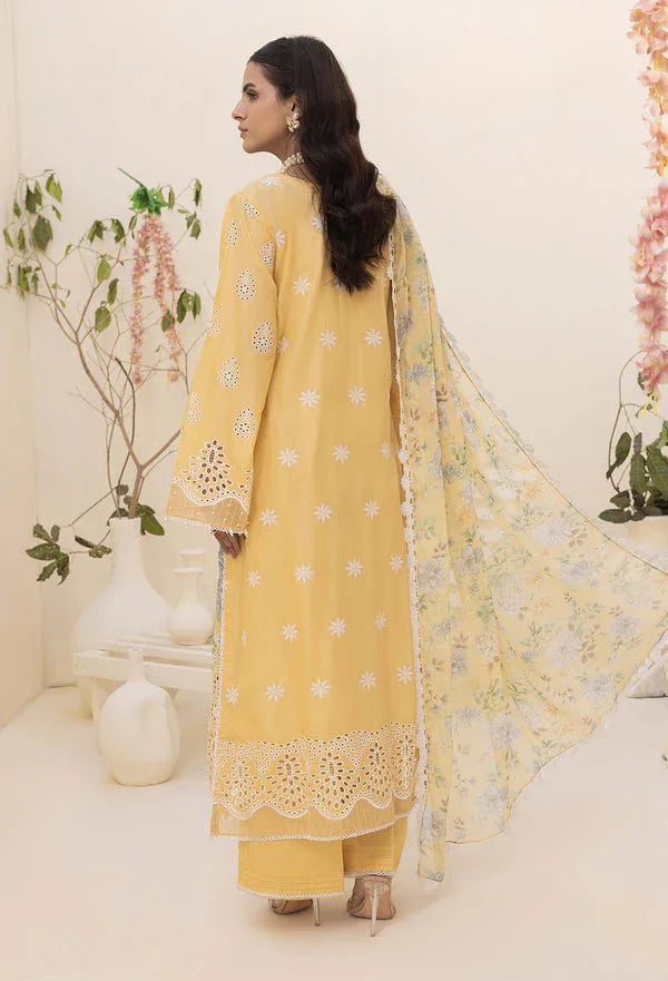 Adans Libas | Haelyn 25 | HAELYN 5 - Rang-e-Khaas