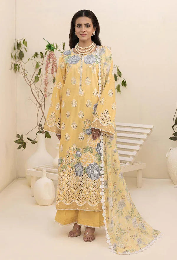 Adans Libas | Haelyn 25 | HAELYN 5 - Rang-e-Khaas