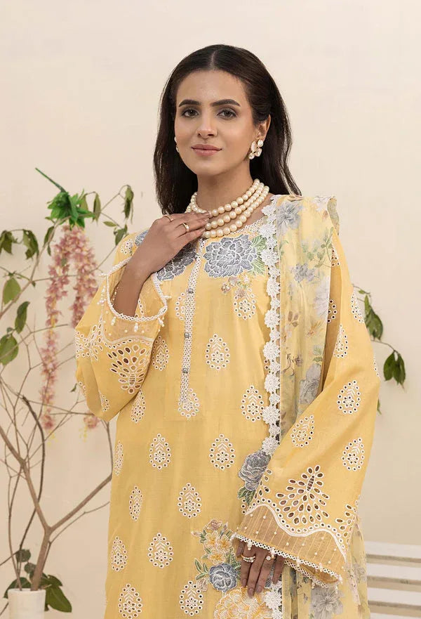 Adans Libas | Haelyn 25 | HAELYN 5 - Rang-e-Khaas