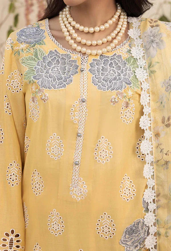 Adans Libas | Haelyn 25 | HAELYN 5 - Rang-e-Khaas
