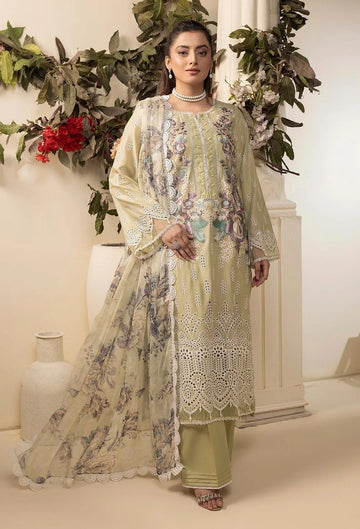 Adans Libas | Haelyn 25 | HAELYN 8 - Rang-e-Khaas