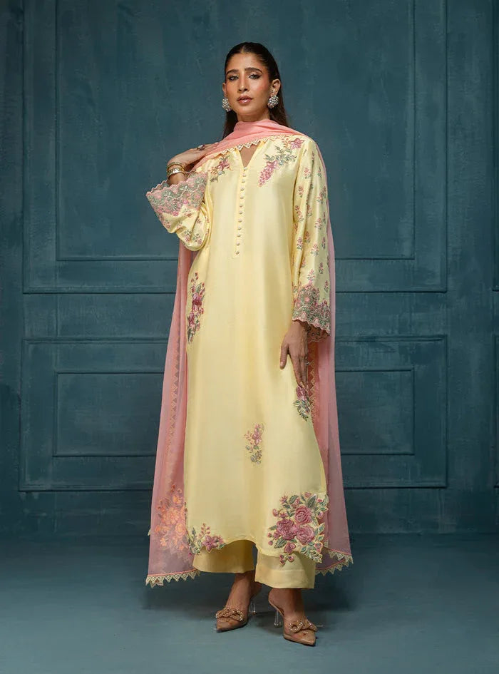 Zainab Chottani | Luxe Edit 25 | Vaani - Rang-e-Khaas