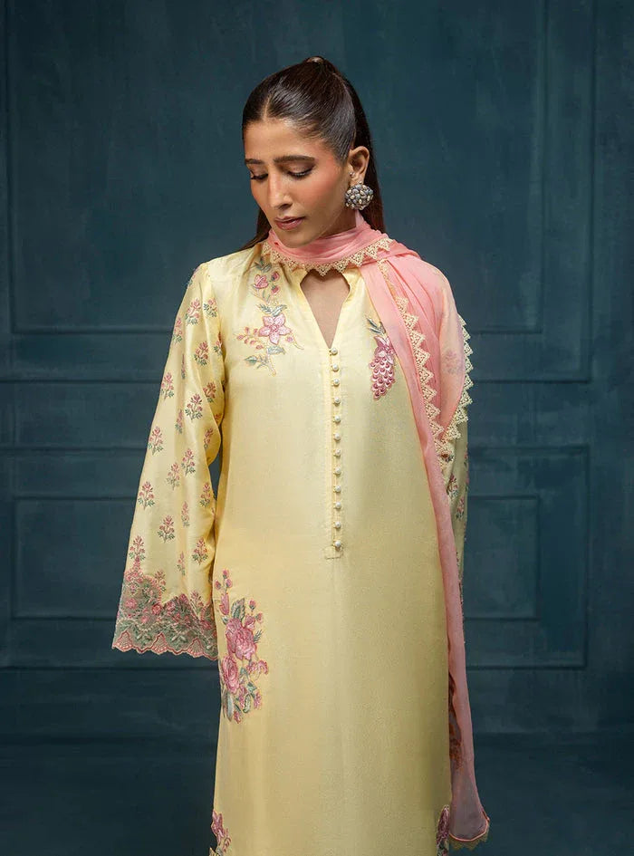 Zainab Chottani | Luxe Edit 25 | Vaani - Rang-e-Khaas
