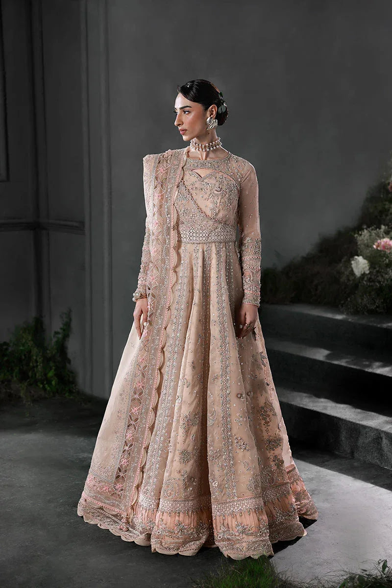 Qalamkar | Elirah Formals 25 | MF-01 LUSTRA - Rang-e-Khaas