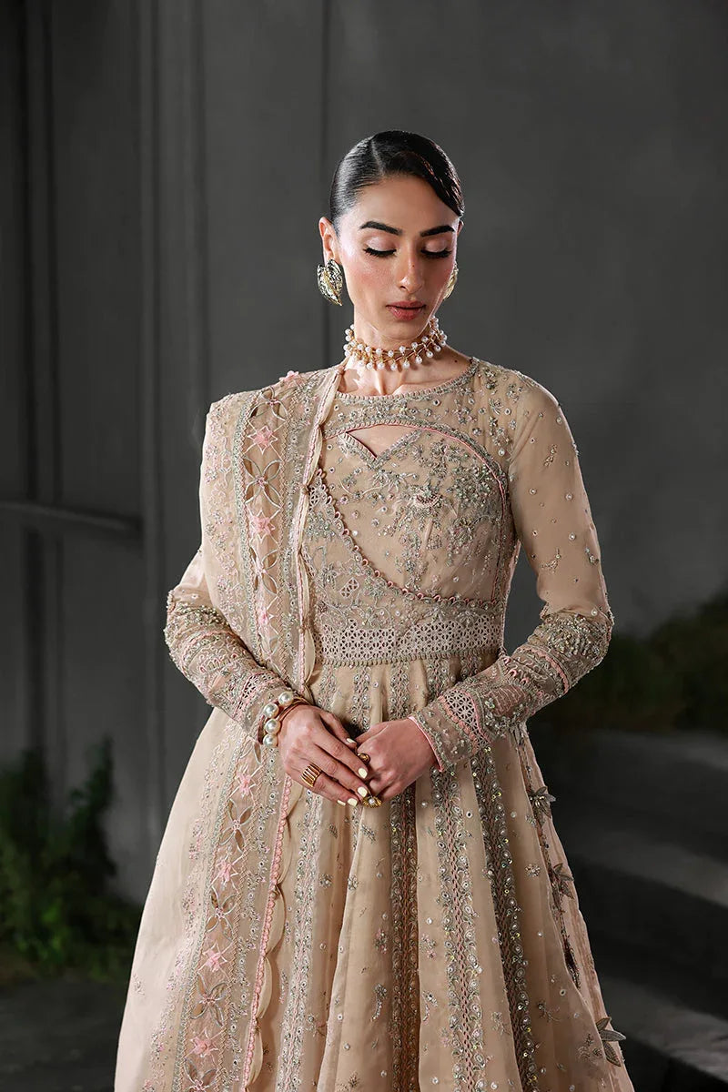 Qalamkar | Elirah Formals 25 | MF-01 LUSTRA - Rang-e-Khaas